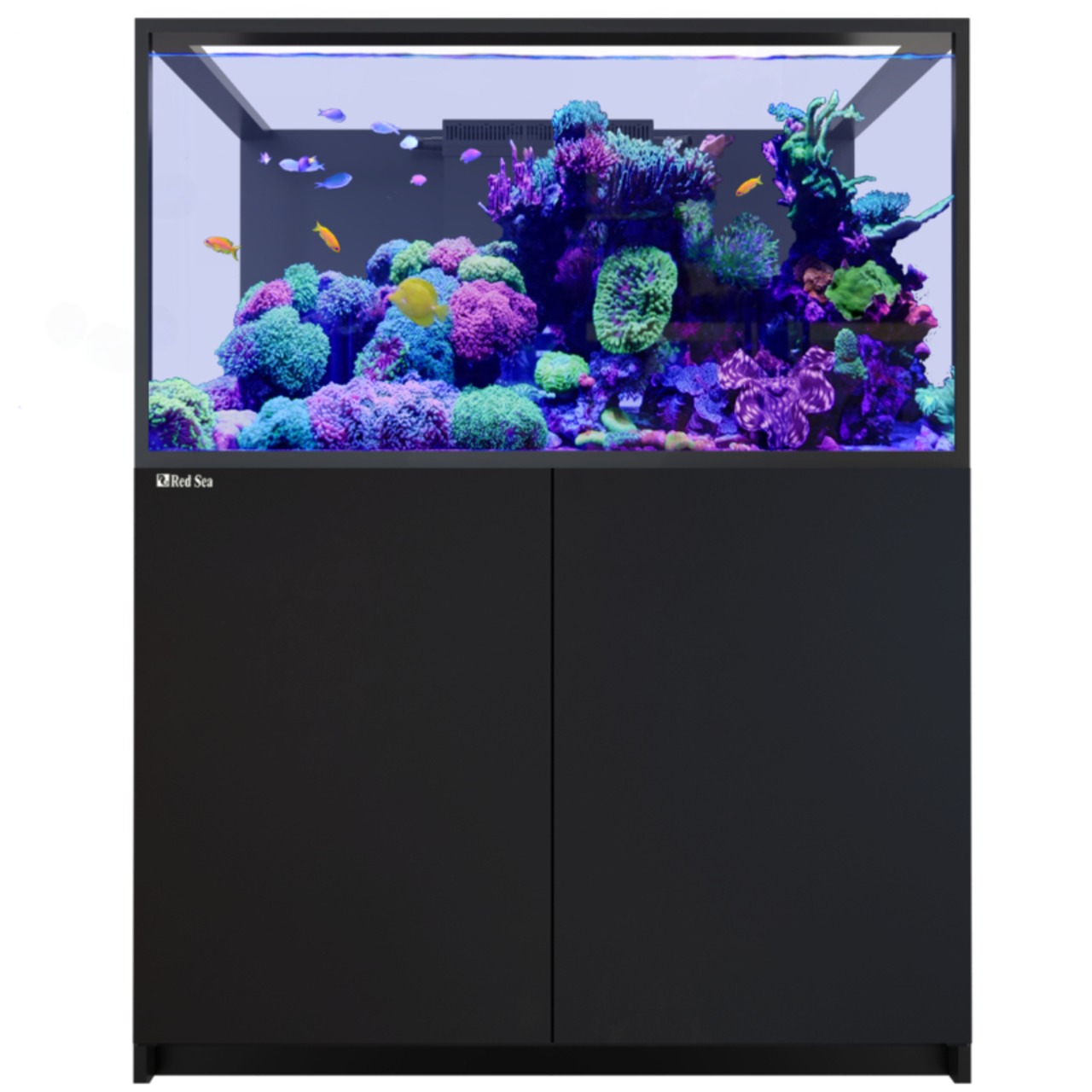 Red Sea Reefer-S 550 G3+ schwarz