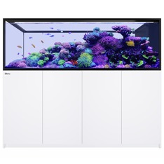 Red Sea REEFER Peninsula S-950 G3+