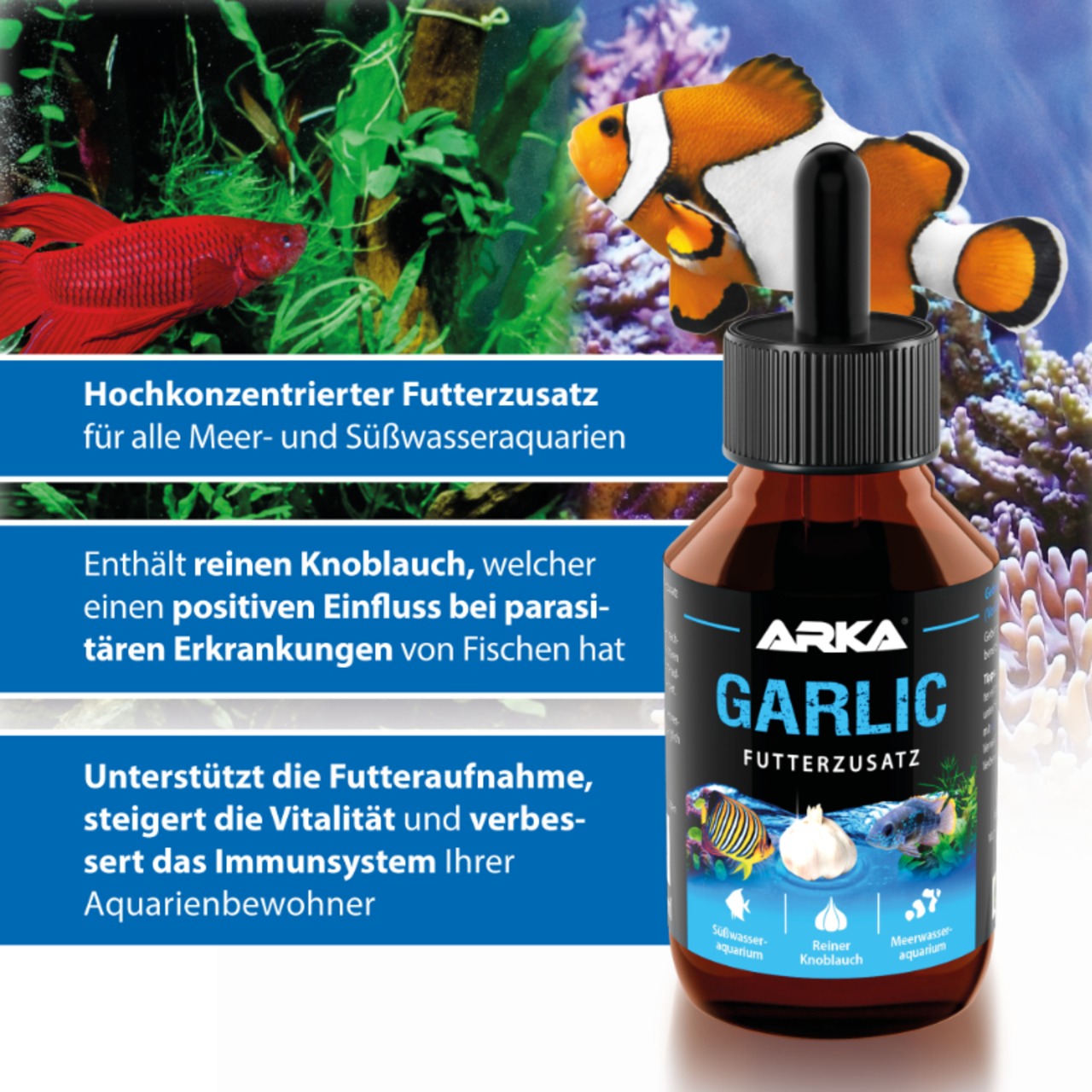 Arka Garlic