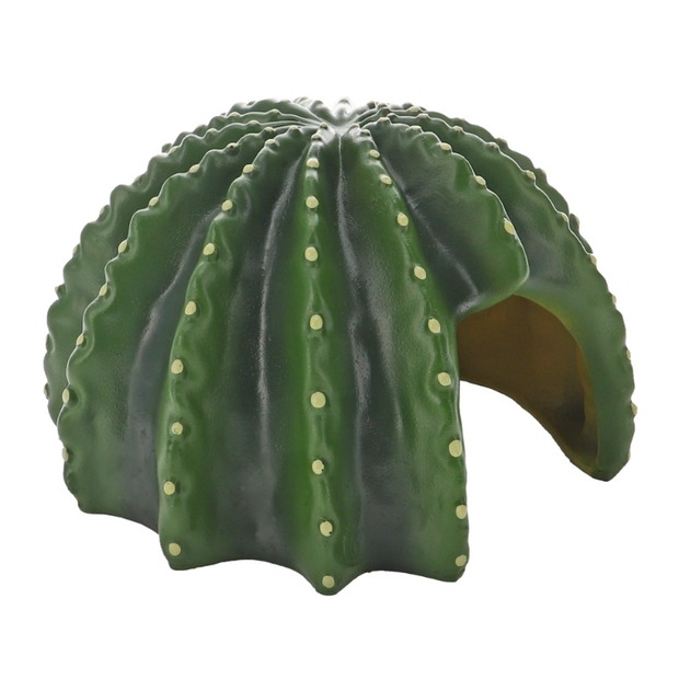 Hobby Cactus Home