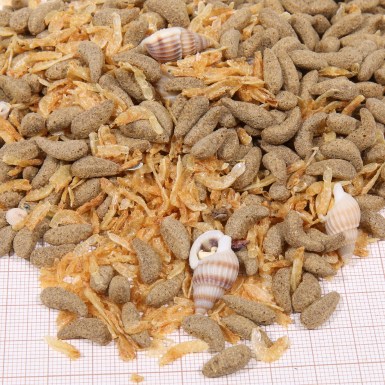 JBL ProTerra Molluscus