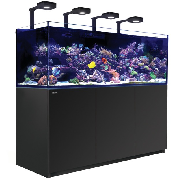 Red Sea REEFER MAX G3