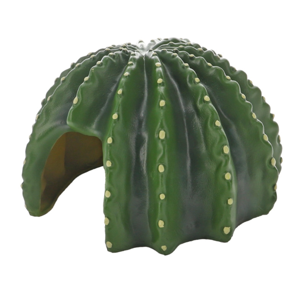 Hobby Cactus Home