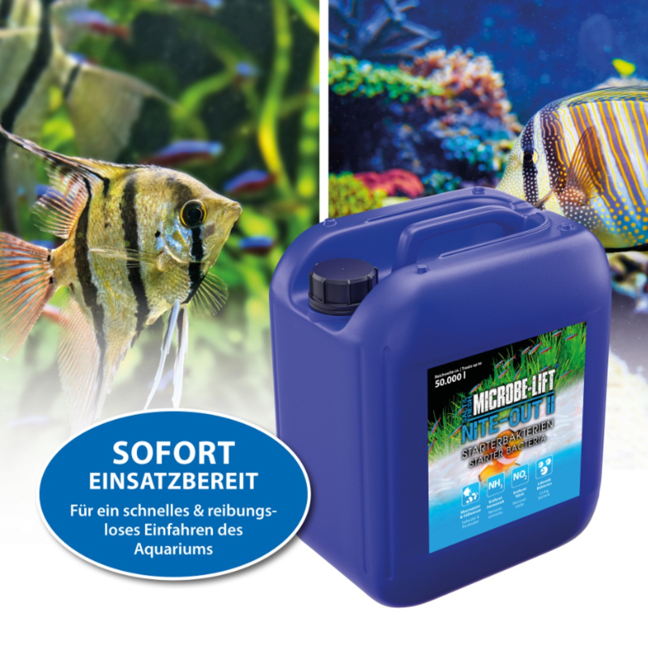 Arka Nite-Out II - Starterbakterien 5 L