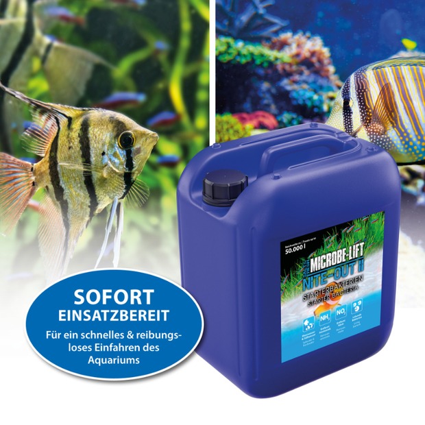 Arka Nite-Out II - Starterbakterien 5 L