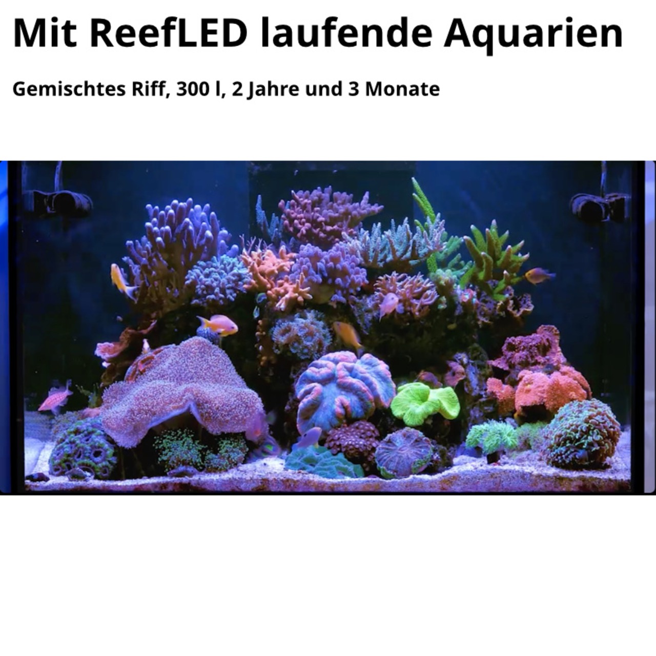 Red Sea ReefLED G2