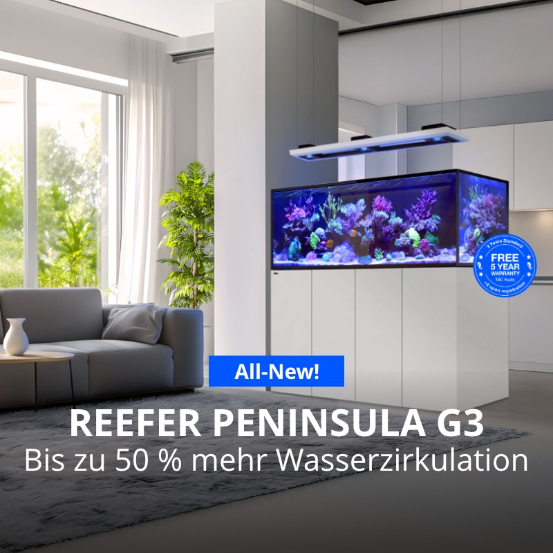 Red Sea Reefer G3 Peninsula mit 5 Jahren Garantie