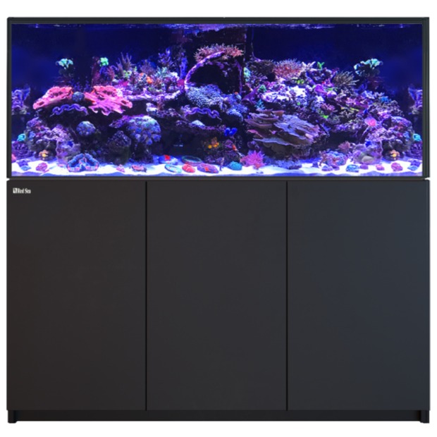 Red Sea Reefer 625 G3 schwarz