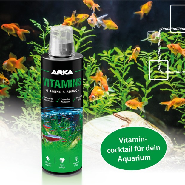 Arka Vitamine & Aminos 236ml
