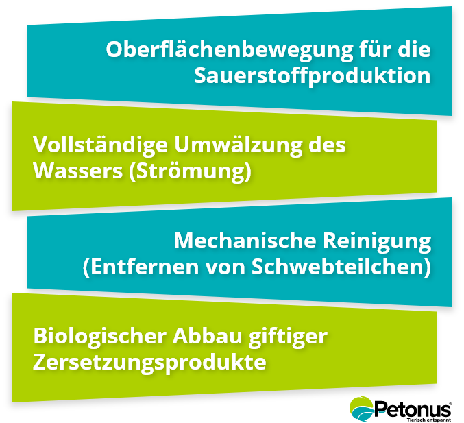 Funktionen des Aquariumfilters