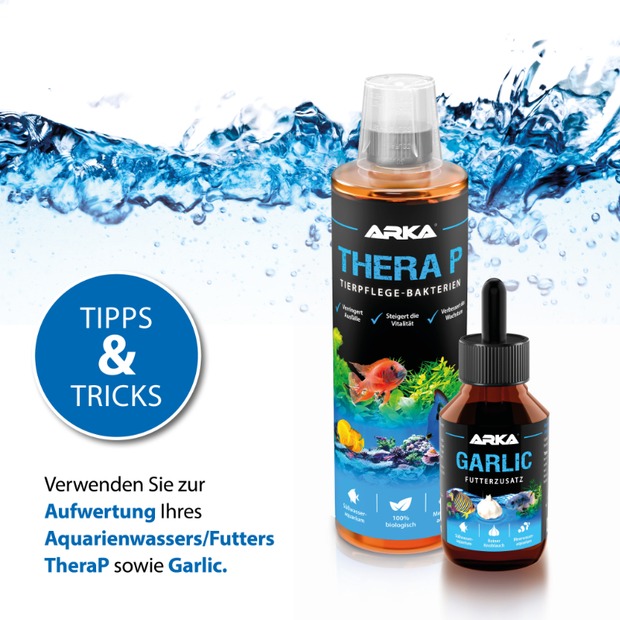 Arka Herbtana Immunstimulanz-P 473ml