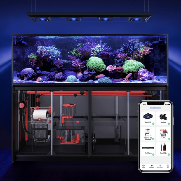 Red Sea REEFER MAX Peninsula S-700 G3