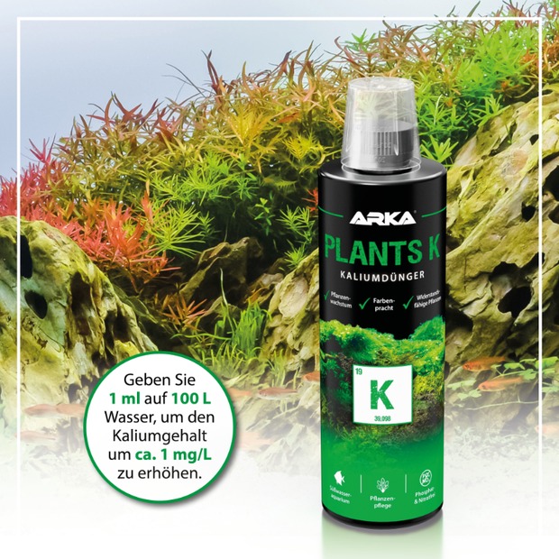 Arka Plants K