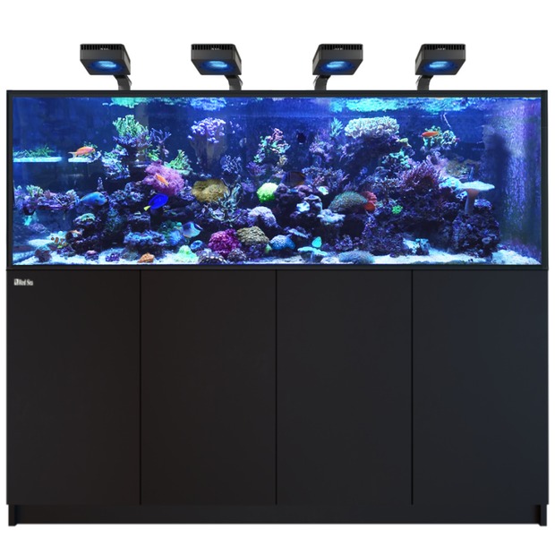 Red Sea Reefer 750 G3 Deluxe schwarz