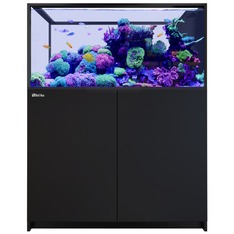 Red Sea REEFER Peninsula 500 G3